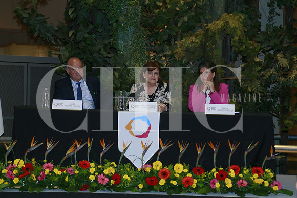 Javier Navarro, María Cristina González Parás y Martha Herrera (6)