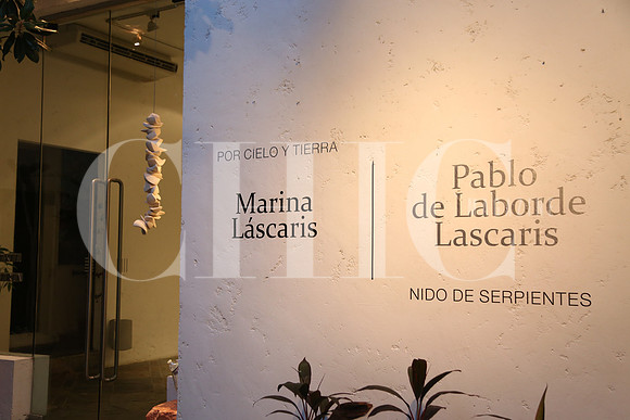 Detalle 14