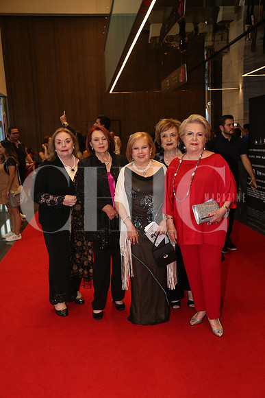 Zandra Garza T, Maria Luisa Santos, Chepina de Longoria, America Dominguez y America Cortes