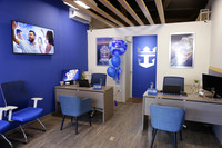 Apertura Local Royal Caribbean 26