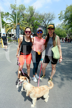 Diana Paulina Guerra, Lorena San Pedro y Ana Cristina García