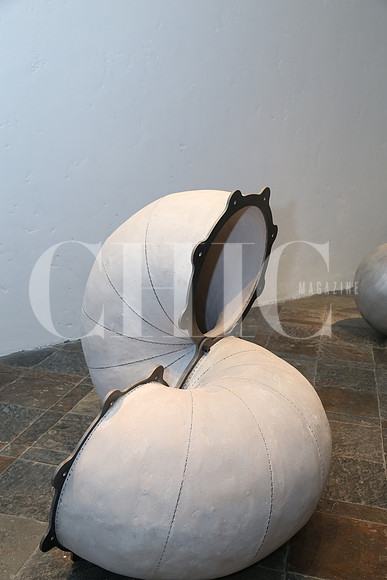 Detalle 6