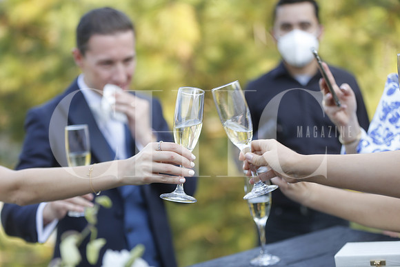Brindis (1)