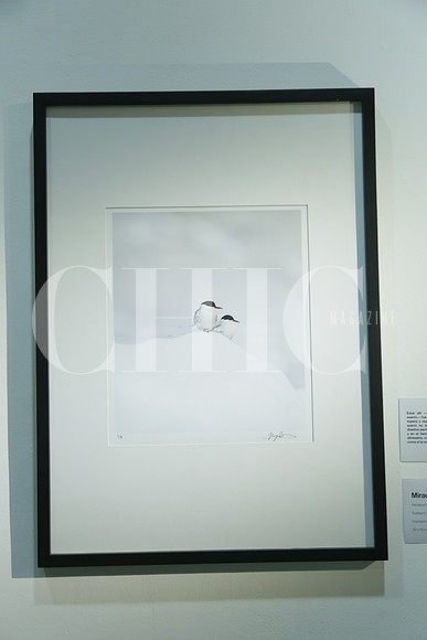 Miradas gemelas de Mariajosé González.