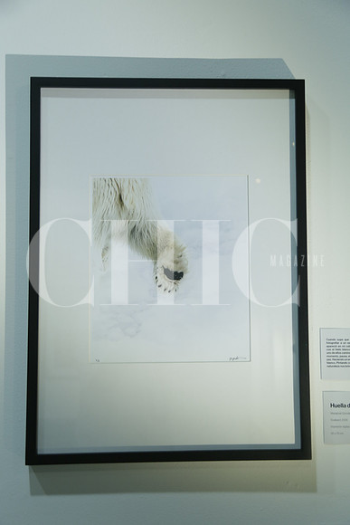 Huella de Hielo de Mariajosé González.
