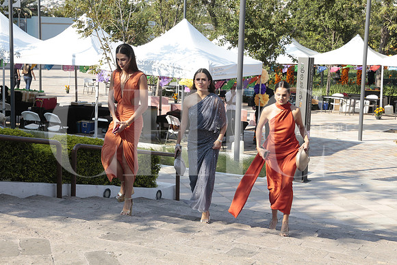 Mayte Pedro Diaz, Andrea Gonzalez Valdez y Julia Bulle 4