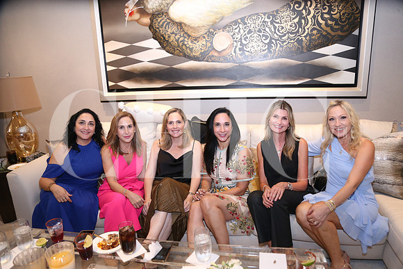 Delia Gallegos, Milma Salas de Guzmám, Martha García, Laura Valdez , Clarisa Cadena y Alejandra Rodríguez de Kalifa 1