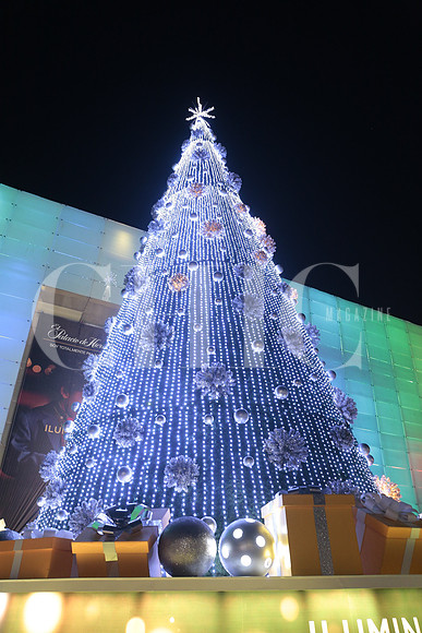 Encendido Pino Palacio de hierro 42