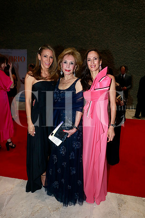 Marcela Garza, Yolanda Santos y Yolanda Garza (2)