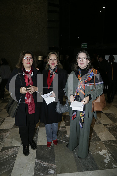 Amanda Gallegos, Mireya Leal y Norma Garza (2)