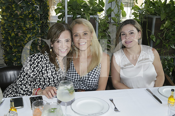 Leonor García Luna, Teté García Luna y Graciela Aliud (2)