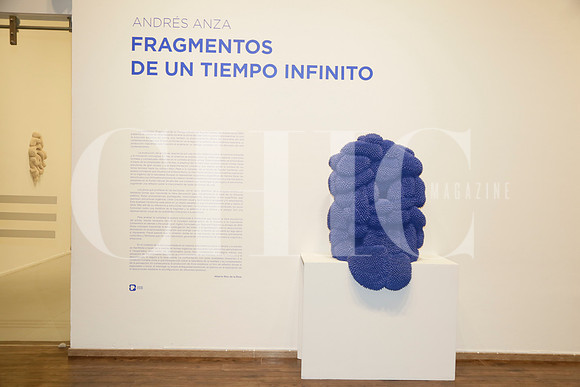 Obra (sin nombre) del artista Andrés Anza (2)