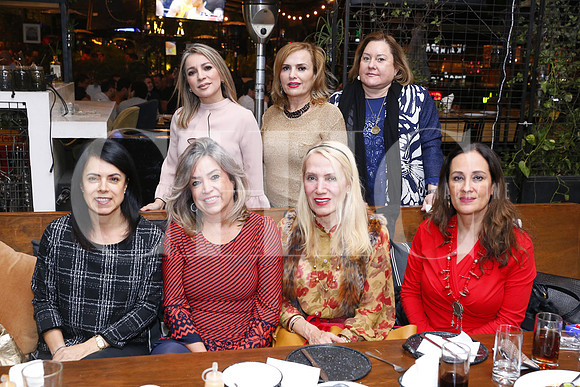 Lizzett Escutia, Vero Villarreal, Rosy Lobo, Maria Paz Haces, Sisy Cornish, Celina Calderón de Paez y Lorena de Vejar (1)