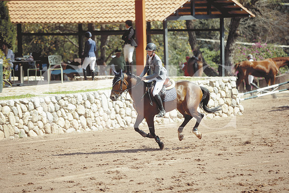 Rodrigo Swanne (6)