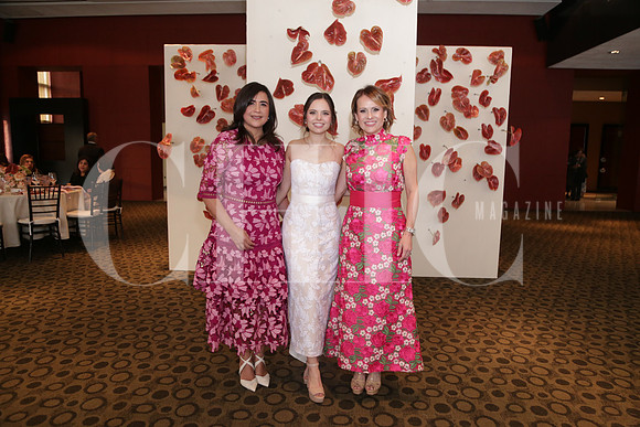 Myrna de Aguirre, Ana Karen Wiliams y Eva Hernández de Wiliams 0