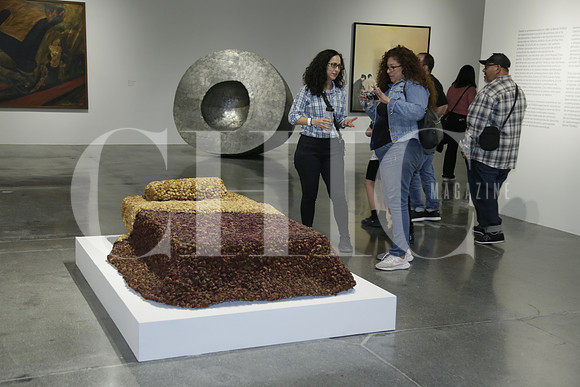 Aspectos de las obras ganadoras durante los 30 años de la Bienal FEMSA (6)