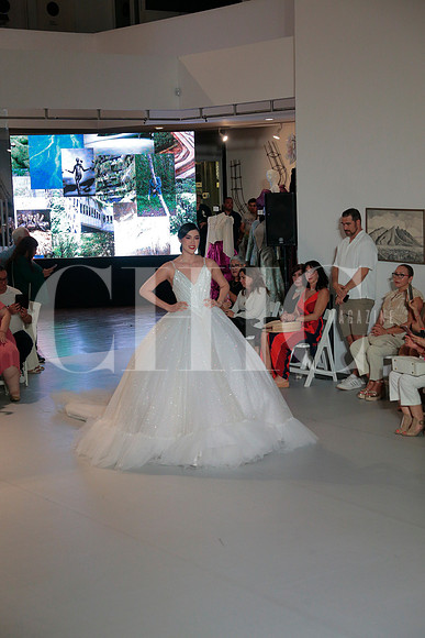 Trends 195