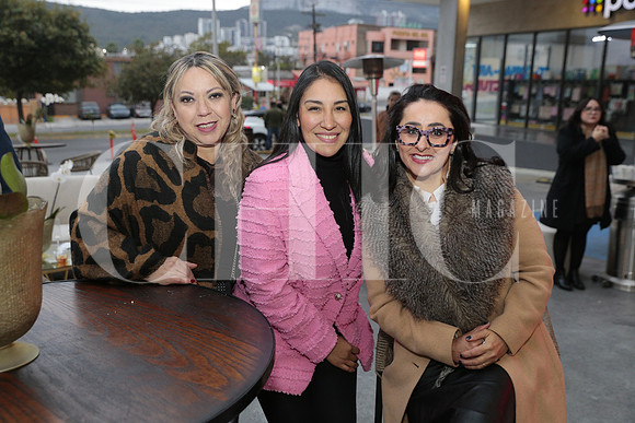 Perla Garcia, Ana gutierrez y Diana Aristizabal 3