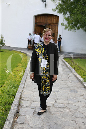 Liz de Milmo