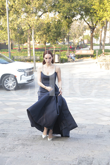 Ginelle Fasci 1