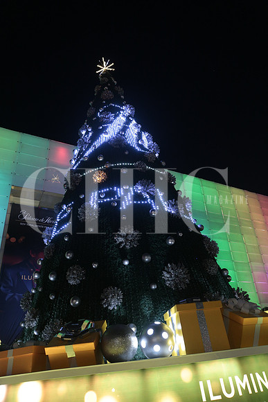 Encendido Pino Palacio de hierro 37