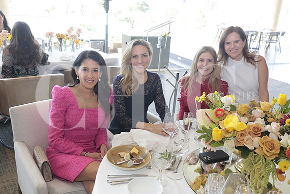 Monica Paez, Lorena Mellado, Erika Lankenau y Lorena Sepulveda 4