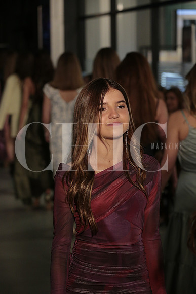 Pasarela 529