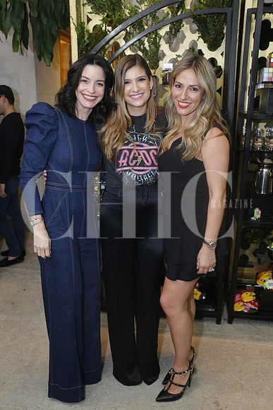 Norma González de Margáin, Tania Leal de Ancira y Karina Cavazos de Arsendi (2)