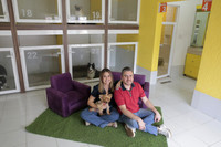 Barking House 12