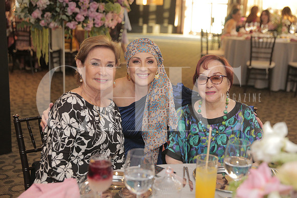 Ely de Escamilla, Patricia Vargas y Sara Cantu 1