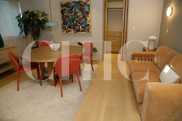 Aspectos de interiores casa Oliva (11)