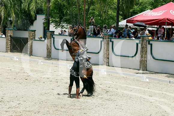 Aspectos (6)