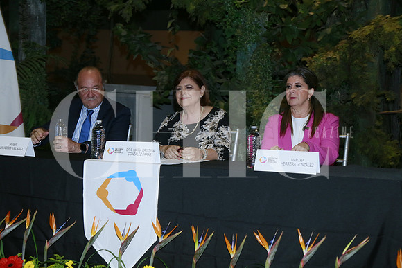 Javier Navarro, María Cristina González Parás y Martha Herrera