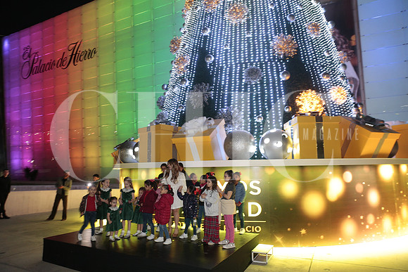 Encendido Pino Palacio de hierro 29