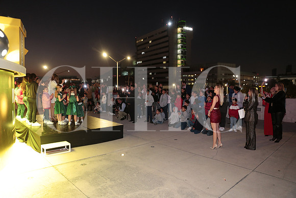 Encendido Pino Palacio de hierro 19