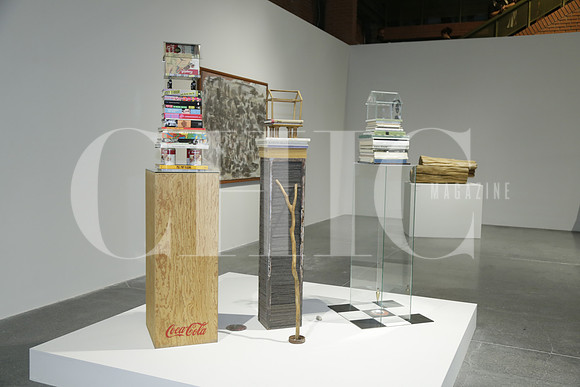 Aspectos de las obras ganadoras durante los 30 años de la Bienal FEMSA (4)