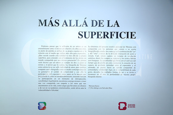 Detalle13