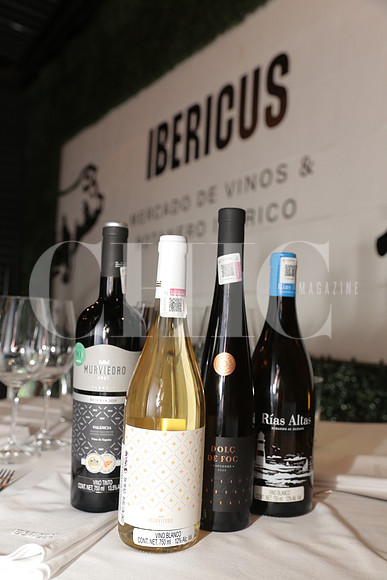 Ibericus 7