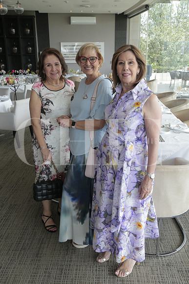 Elsa Garcia Corral, Laura Esther Martinez y Alejandra de Leon 2