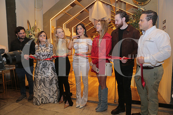 Apertura Colmena 25