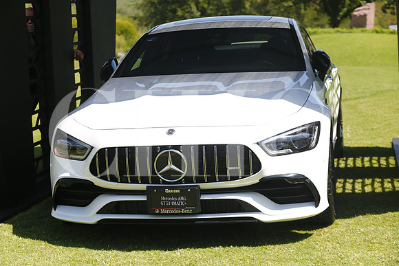 Mercedes (10)
