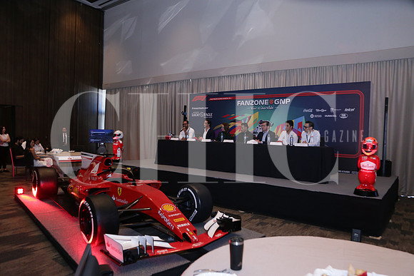 RP FANZONE GNP2