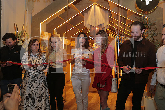 Apertura Colmena 47