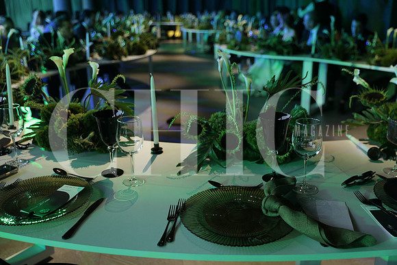Detalles 16