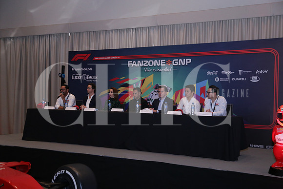 RP FANZONE GNP3