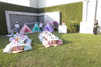 Dreams 14