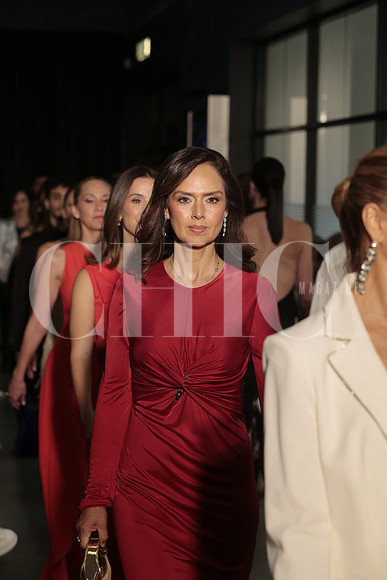 Pasarela 547