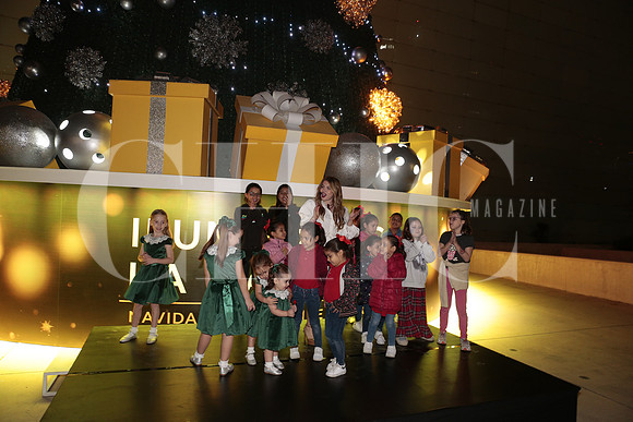 Encendido Pino Palacio de hierro 11