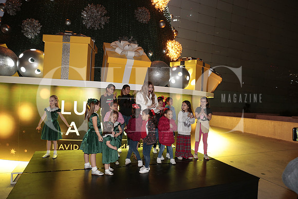 Encendido Pino Palacio de hierro 16