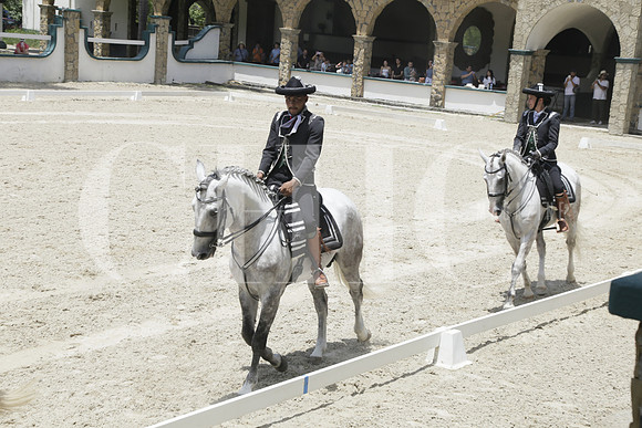 Aspectos (8)